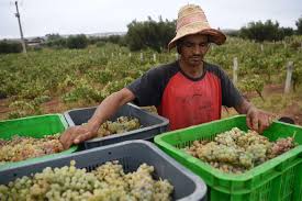 Rural Tourism and Agri culture tours