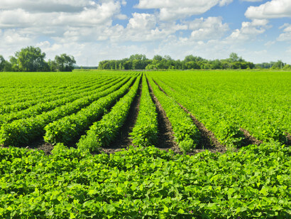 True Wealth of Nations