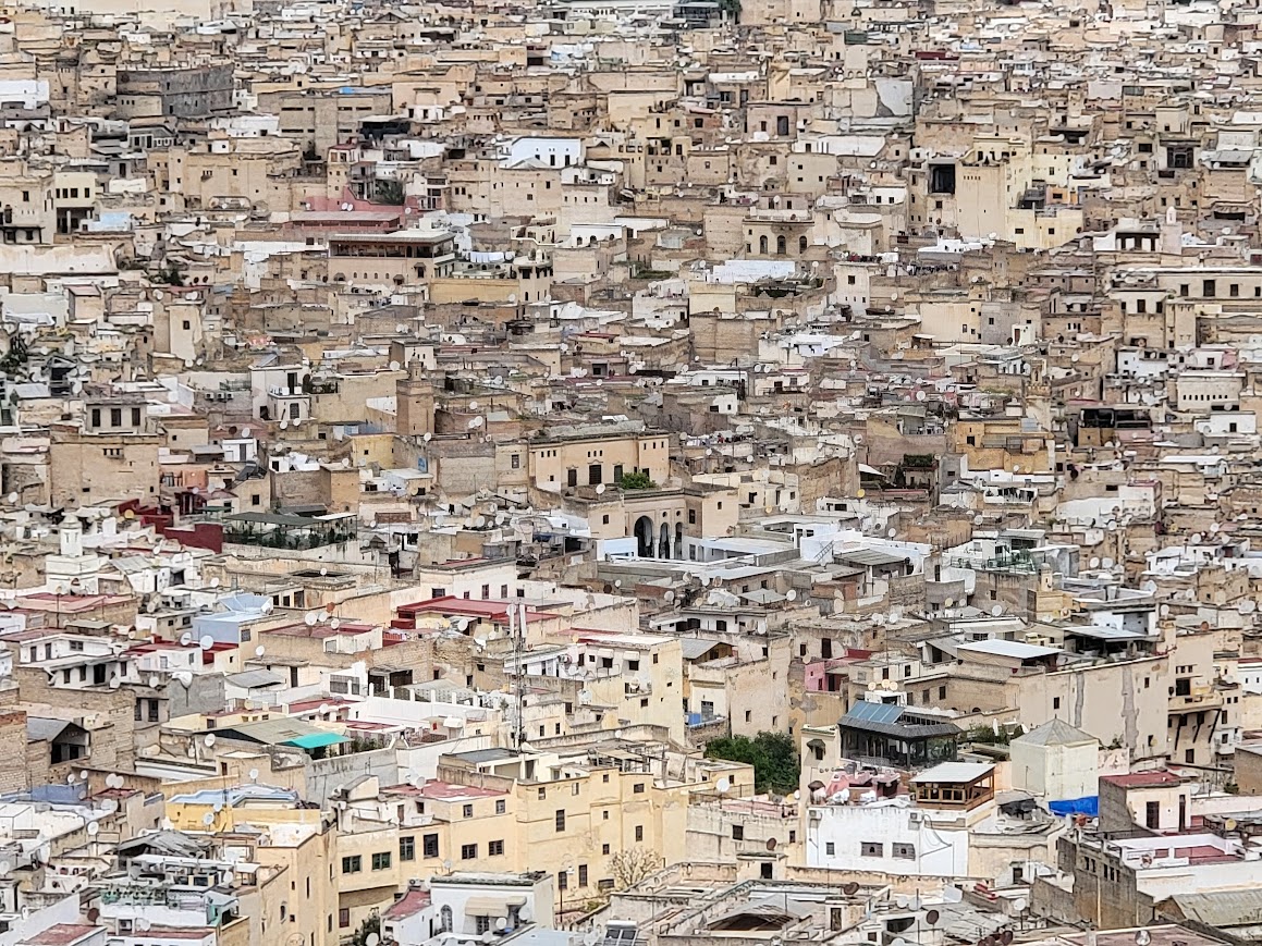exploring the Medina of Fez